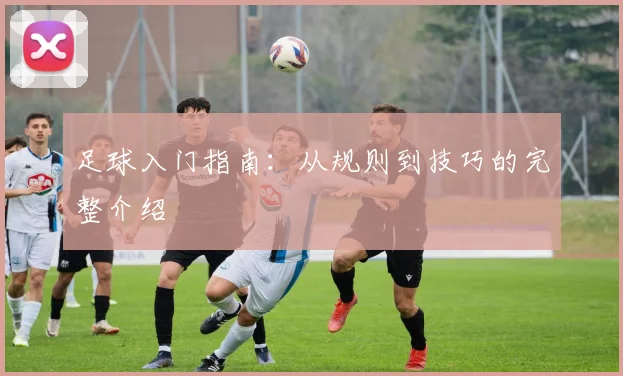 足球入门指南:从规则到技巧的完整介绍