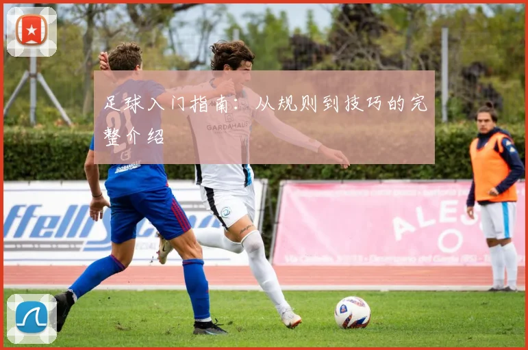 足球入门指南：从规则到技巧的完整介绍